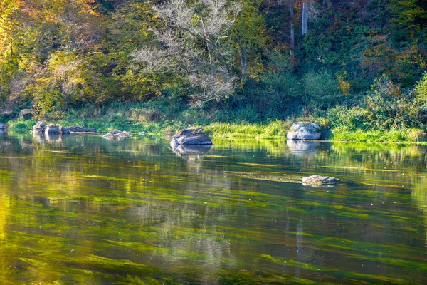 다뉴브강 의지류로서 가을에 바이에른 삼림을 통과하여 흐른다 — 스톡 사진