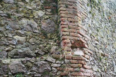 Donaustauf castle ruins on the Danube near Regensburg photographed in January                        