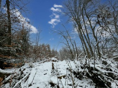 Bavyera 'da bol karlı kış her yıl tekrar güzeldir.