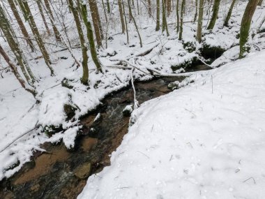 Bavyera 'da bol karlı kış her yıl tekrar güzeldir.