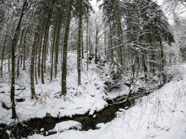 Bavyera 'da bol karlı kış her yıl tekrar güzeldir.