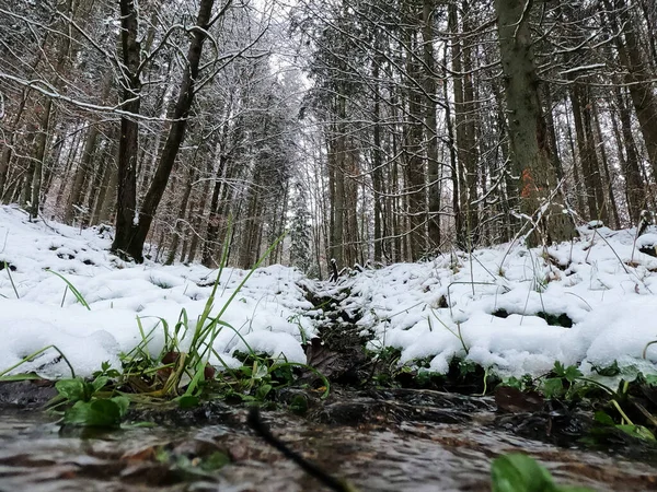 Hiver Avec Beaucoup Neige Bavière Est Nouveau Beau Chaque Année — Photo