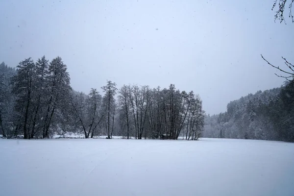 Winter Lots Snow Bavaria Beautiful Again Every Year — Stock Photo, Image