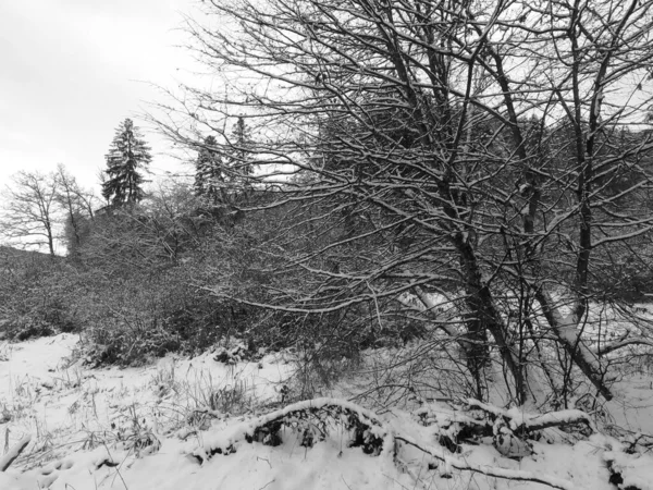 Winter Lots Snow Bavaria Beautiful Again Every Year — Stock Photo, Image