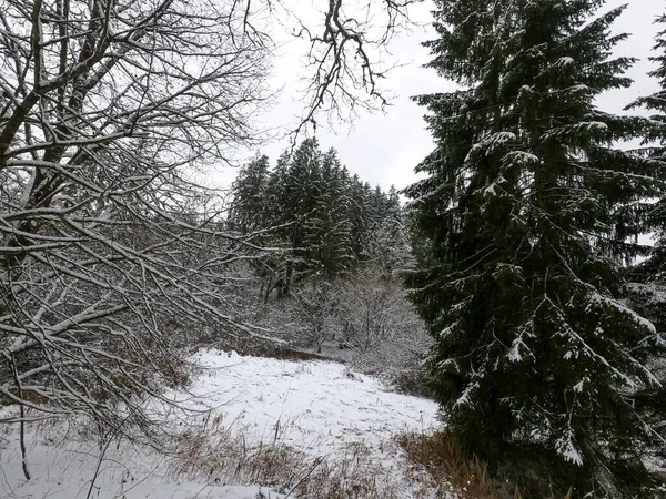 Зима Большим Количеством Снега Баварии Снова Прекрасна Каждый Год — стоковое фото