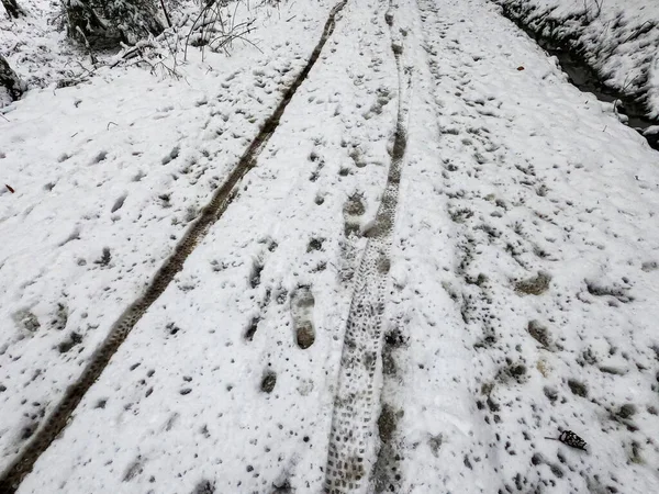 Vintern Med Massor Snö Bayern Vacker Igen Varje — Stockfoto