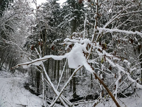 Зима Большим Количеством Снега Баварии Снова Прекрасна Каждый Год — стоковое фото