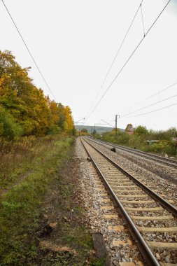 Kısmen çürümüş vagonları olan demiryolu tesisi.