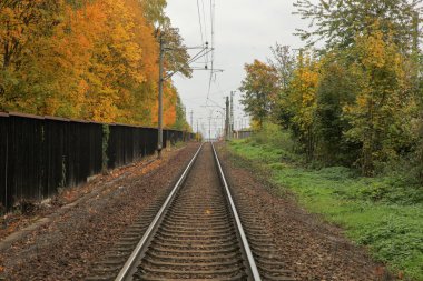 Kısmen çürümüş vagonları olan demiryolu tesisi.