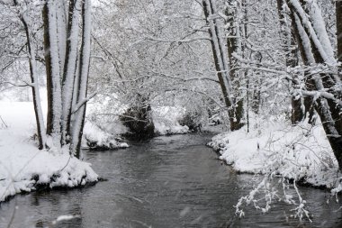 Bavyera 'da bol karlı kış her yıl tekrar güzeldir.