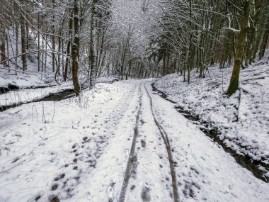 Bavyera 'da bol karlı kış her yıl tekrar güzeldir.