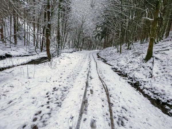 Bavyera 'da bol karlı kış her yıl tekrar güzeldir.