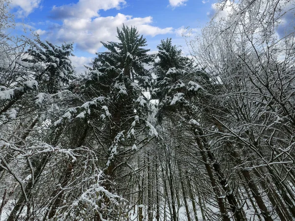 Bavyera 'da bol karlı kış her yıl tekrar güzeldir.