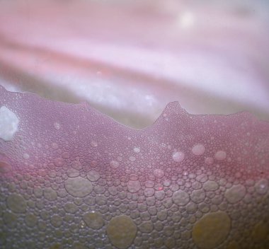 Stüdyoda köpüklü bira ve köpüklü baloncuklar.