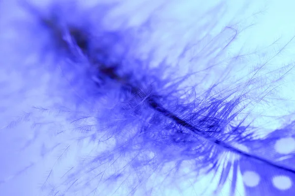 Poster veya arkaplan olarak uygun yüksek çözünürlüklü iyi kalite simgeye sahip modern fotoğraf