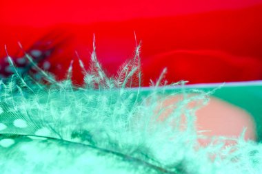 Kuş tüyü, birçok parlak renk ve yapıya sahip bir arkaplan görüntüsüdür.