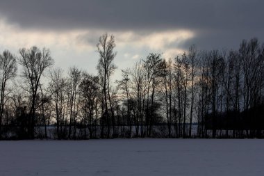 Bavyera 'da bol karlı kış her yıl tekrar güzeldir.