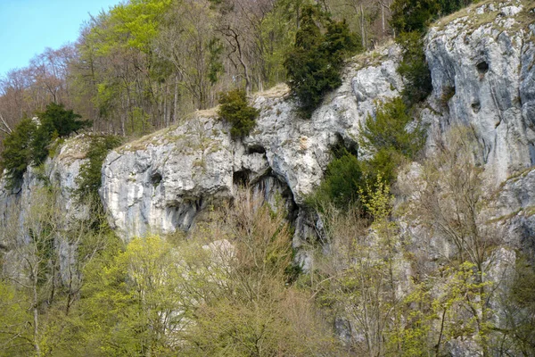 ケルハイムからウェルテンブルク修道院へのドナウ川の突破口岩とドナウ川の現在 — ストック写真