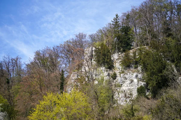 Donaudurchbruch Von Kelheim Zum Kloster Weltenburg Mit Felsen Und Der — Stockfoto