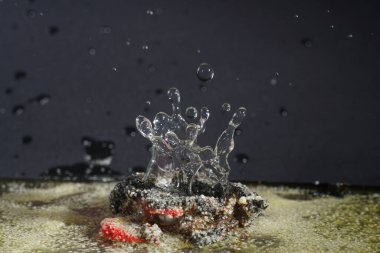 Stüdyoda çekilen parlak renkli ve şekilli damlalarla su sıçratarak.