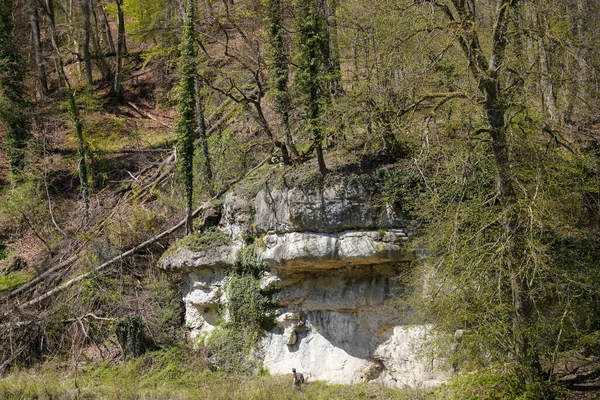 ケルハイムからウェルテンブルク修道院へのドナウ川の突破口岩とドナウ川の現在 — ストック写真