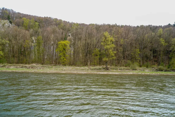 Avance Del Danubio Desde Kelheim Hasta Monasterio Weltenburg Con Rocas — Foto de Stock