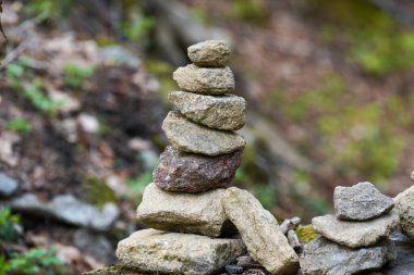 Baharda Bavyera Ormanı Taze yeşillik ve çiçek açan ağaçlarla 