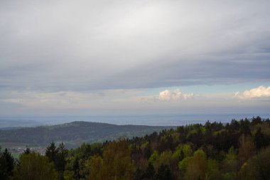 Baharda Bavyera Ormanı Taze yeşillik ve çiçek açan ağaçlarla 