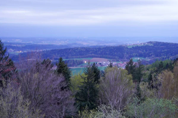 Bavarian Forest Spring Fresh Greenery Blossoming Trees — Stock Photo, Image