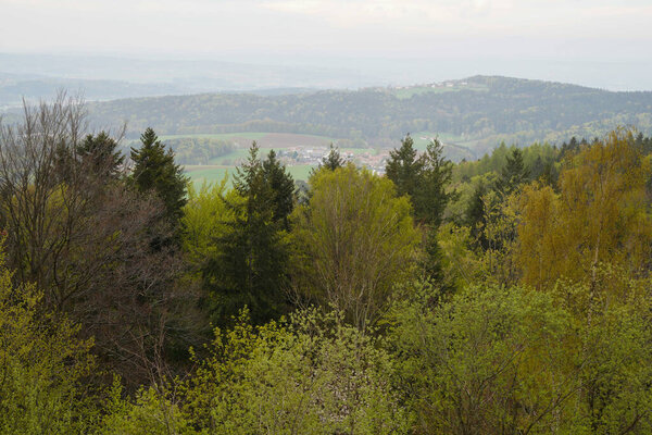 Bavarian Forest in spring with fresh greenery and blossoming trees