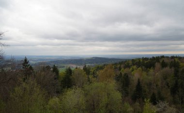 İlkbaharda Bavyera 'daki orman, her şey çiçek açar ve yeni bir hayata uyanır. 