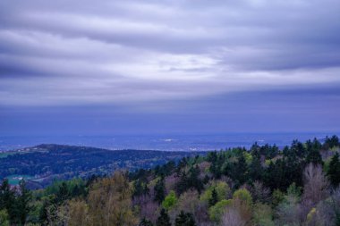 İlkbaharda Bavyera 'daki orman, her şey çiçek açar ve yeni bir hayata uyanır. 