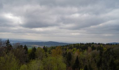 İlkbaharda Bavyera 'daki orman, her şey çiçek açar ve yeni bir hayata uyanır. 