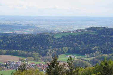 İlkbaharda Bavyera 'daki orman, her şey çiçek açar ve yeni bir hayata uyanır. 