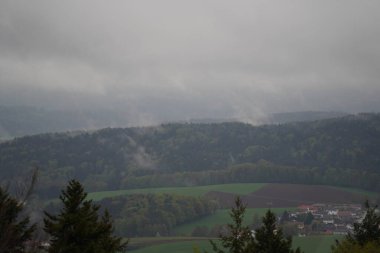 İlkbaharda Bavyera 'daki orman, her şey çiçek açar ve yeni bir hayata uyanır. 