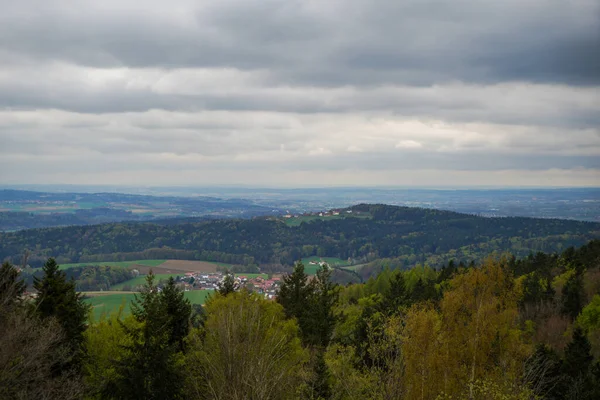 Forest Bavaria Spring Everything Wood Blooms Awakens New Life — Foto Stock