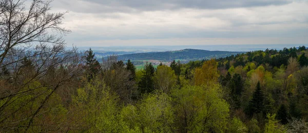 Landscape Shot Bavarian Wooded Area Altitude 600 Meters — Stok fotoğraf
