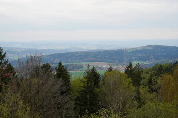 Landschaftsaufnahme Eines Bayerischen Waldgebietes 600 Metern Höhe — Stockfoto