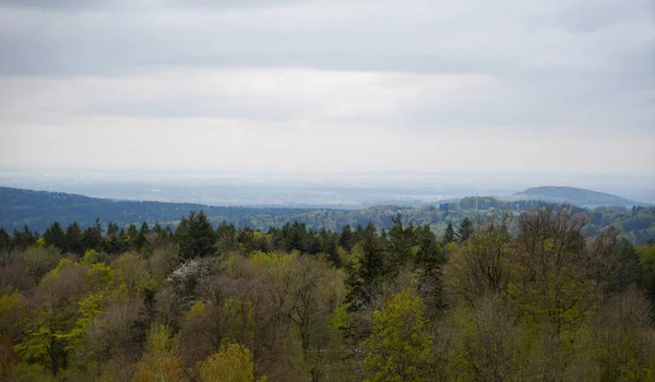 Landscape Shot Bavarian Wooded Area Altitude 600 Meters — Foto Stock
