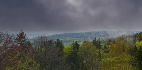 Landskapsbild Ett Bayerskt Skogsområde Höjd 600 Meter — Stockfoto