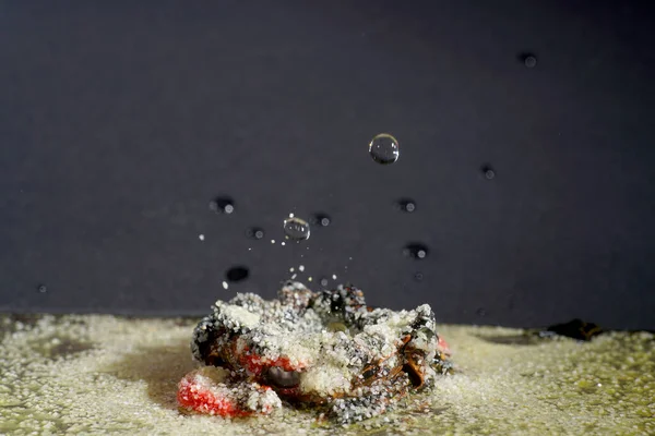 Stüdyoda higspeed ışıklarıyla çekilmiş su damlaları.