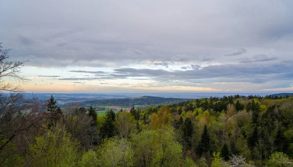 Foresta Tedesca Fotografata Nella Primavera Del 2022 Baviera — Foto Stock