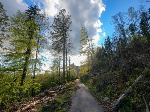 Немецкий Лес Сфотографирован Весной 2022 Года Баварии — стоковое фото