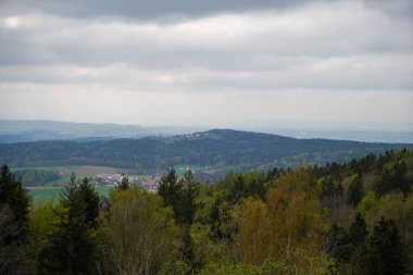 Almanya 'daki orman alanları Mayıs ayının ilkbaharında fotoğraflandı
