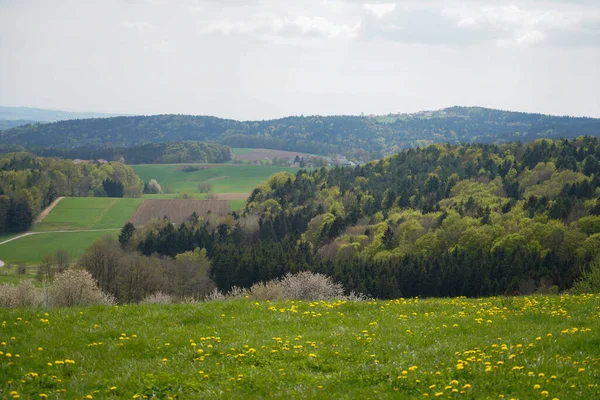 Skogsområden Tyskland Fotograferade Våren Maj Månad — Stockfoto