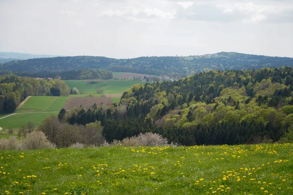 Waldgebiete Deutschland Frühlingsmonat Mai Fotografiert — Stockfoto