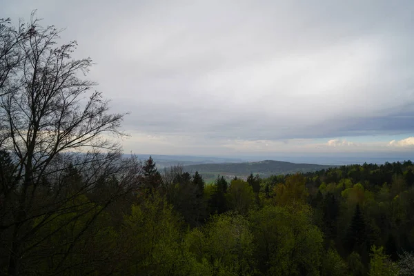 Waldgebiete Deutschland Frühlingsmonat Mai Fotografiert — Stockfoto