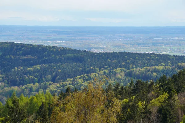 Zonas Forestales Alemania Fotografiadas Mes Mayo —  Fotos de Stock