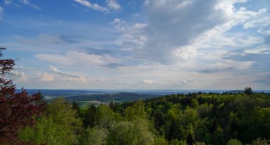 Bavyera Ormanı 'nda kara bulutlar ve parlak yıldırımlarla fırtına
