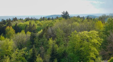 Bavyera Ormanı 'nda kara bulutlar ve parlak yıldırımlarla fırtına